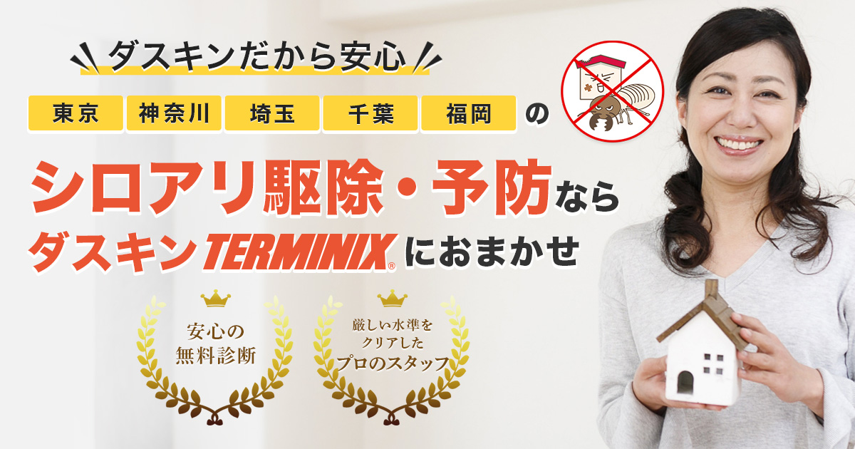 シロアリ駆除 予防ならterminix 安心のダスキンfc